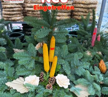 Weihnachtsgesteck mit Tannenzweigen und Dekoration