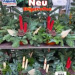 Regal mit frischen Tannenzweigen, dekoriert mit roten Strohstäben, Tannenzapfen und Lotusfrüchten
